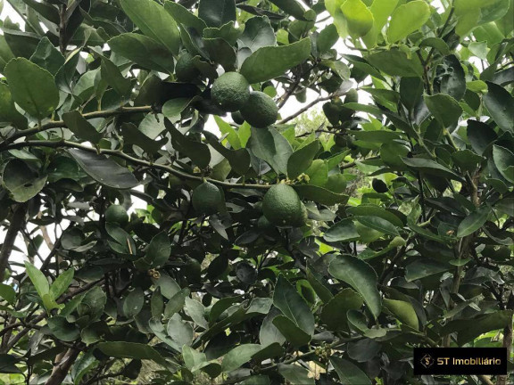 Imagem Terreno à Venda, 1.912 m² em Caetetuba - Atibaia