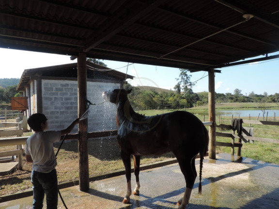 Imagem Fazenda à Venda, 800 m² em Parateí Do Meio - Jacareí Imagem Fazenda à Venda, 800 m² em Parateí Do Meio - Jacareí