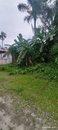 Imagem Terreno à Venda, 266 m² em Zimbros - Bombinhas