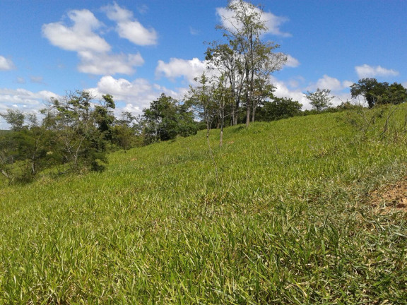 Imagem Imóvel com 3 Quartos à Venda, 1.000 m² em Zona Rural - Baldim