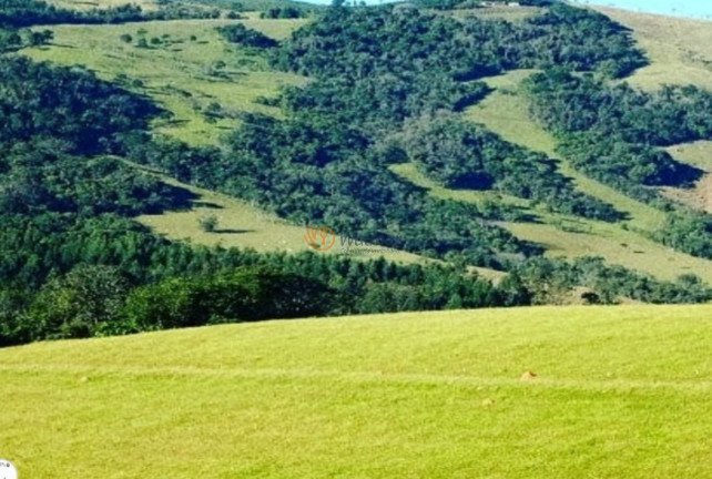 Imagem Imóvel com 3 Quartos à Venda, 320 m² em Centro - Monte Sião Imagem Imóvel com 3 Quartos à Venda, 320 m² em Centro - Monte Sião