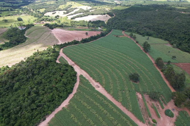 Imagem Chácara à Venda, 16 m² em Zona Rural - Cajuru Imagem Chácara à Venda, 16 m² em Zona Rural - Cajuru
