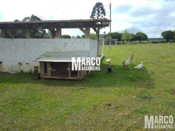 Imagem Chácara com 4 Quartos à Venda, 7 m² em Centro - Atalanta Imagem Chácara com 4 Quartos à Venda, 7 m² em Centro - Atalanta