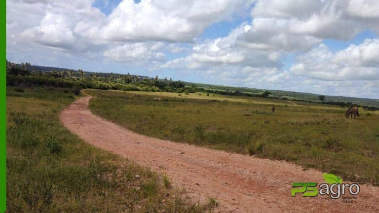 Imagem Sala Comercial à Venda, 2.500.000 m² em Barra De Cunhaú - Canguaretama Imagem Sala Comercial à Venda, 2.500.000 m² em Barra De Cunhaú - Canguaretama