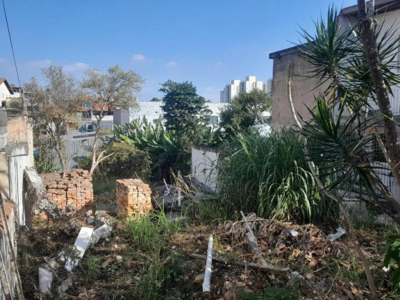 Imagem Terreno à Venda, 500 m² em Vila Portuguesa - São Paulo Imagem Terreno à Venda, 500 m² em Vila Portuguesa - São Paulo