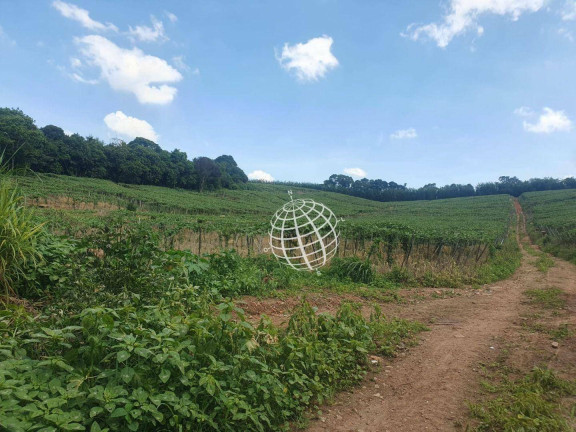 Imagem Fazenda à Venda, 400 m² em Bairro Canedos - Piracaia Imagem Fazenda à Venda, 400 m² em Bairro Canedos - Piracaia