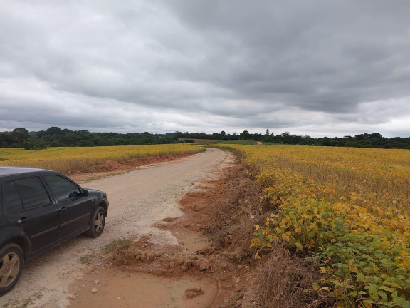 Imagem Imóvel à Venda, 24.200 m² em Centro - Araucária Imagem Imóvel à Venda, 24.200 m² em Centro - Araucária