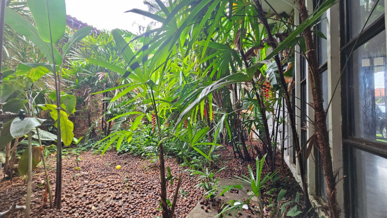 Imagem Casa com 4 Quartos à Venda, 310 m² em Lapa - São Paulo