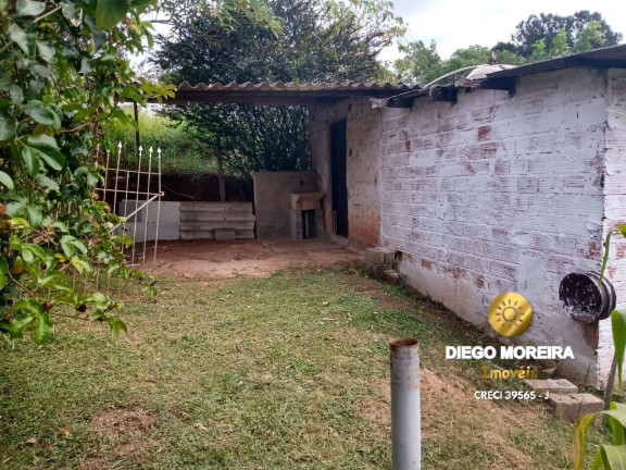 Imagem Chácara com 5 Quartos à Venda, 1.000 m² em Terra Preta - Mairiporã Imagem Chácara com 5 Quartos à Venda, 1.000 m² em Terra Preta - Mairiporã