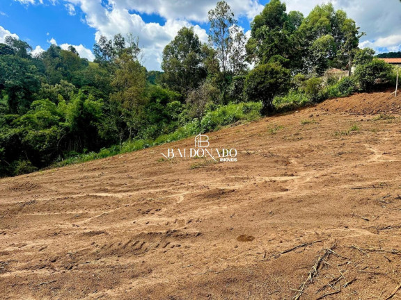 Imagem Terreno à Venda, 1.500 m² em Centro - Toledo