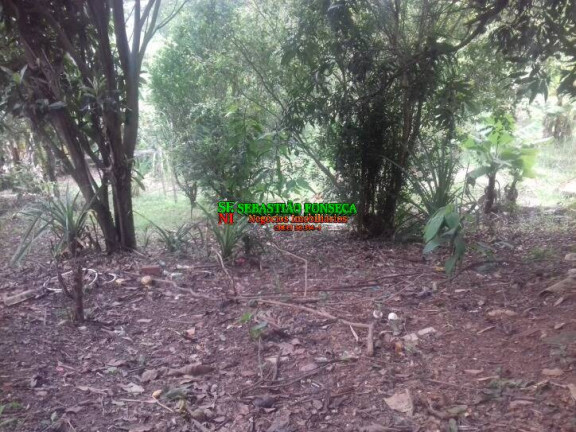 Chácara com 2 Quartos à Venda, 1.000 m² em Santa Cecília 2 - São José Dos Campos