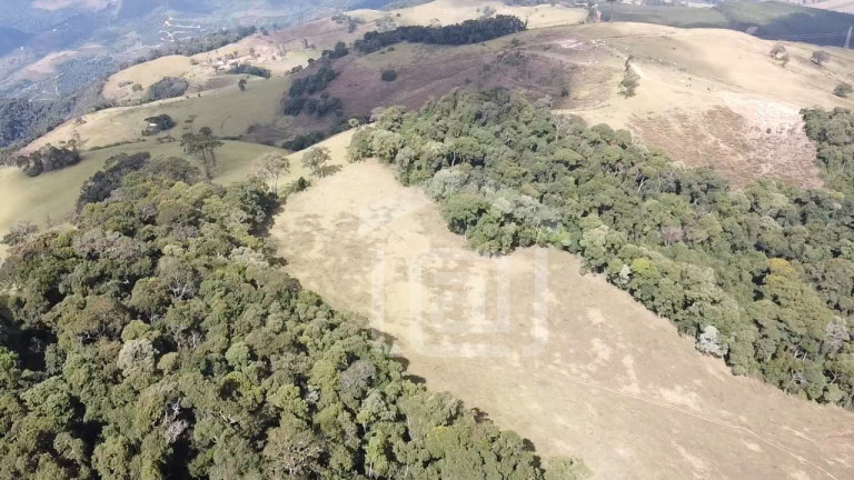 Imagem Imóvel à Venda, 7 m² em Campestrinho - Divinolândia Imagem Imóvel à Venda, 7 m² em Campestrinho - Divinolândia