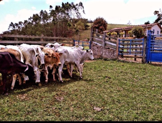Chácara com 4 Quartos à Venda, 90 m² em Centro - Lagoinha