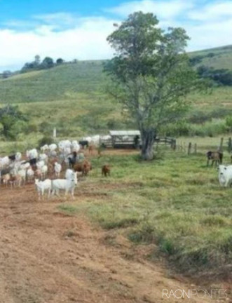 Imagem Fazenda à Venda, 8.373.200 m² em Zona Rural - Jacutinga Imagem Fazenda à Venda, 8.373.200 m² em Zona Rural - Jacutinga