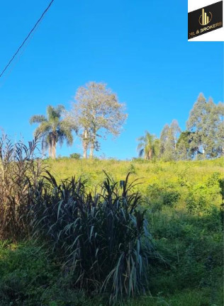 Imagem Imóvel com 4 Quartos à Venda, 46.000 m² em Freguesia Dos Laras - Campo Magro