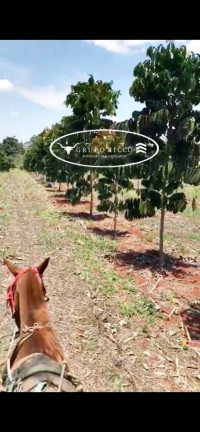 Chácara à Venda, 15 m² em Zona Rural - Petrolina De Goiás