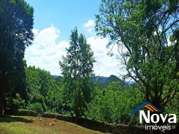 Imagem Imóvel à Venda,  em Linha Pirajá - Nova Petrópolis
