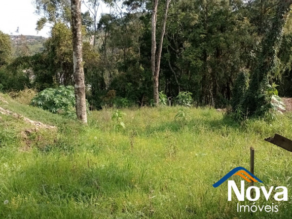 Imagem Imóvel à Venda, 360 m² em Piá - Nova Petrópolis