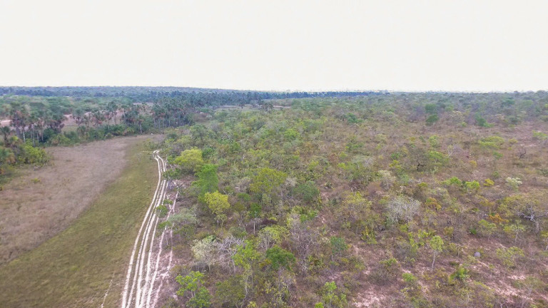 Imagem Fazenda à Venda, 5.050.000 m² em área Rural - Alvorada Do Norte