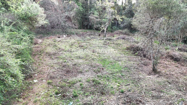 Imagem Terreno à Venda, 1.200 m² em Região De Capivari - Campos Do Jordão Imagem Terreno à Venda, 1.200 m² em Região De Capivari - Campos Do Jordão