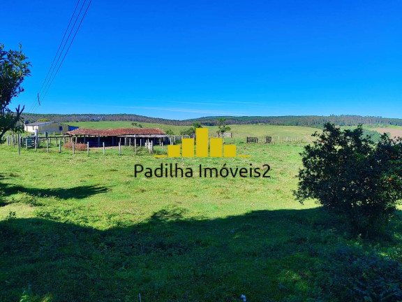 Imagem Fazenda à Venda, 50 m² em São Miguel Arcanjo Imagem Fazenda à Venda, 50 m² em São Miguel Arcanjo