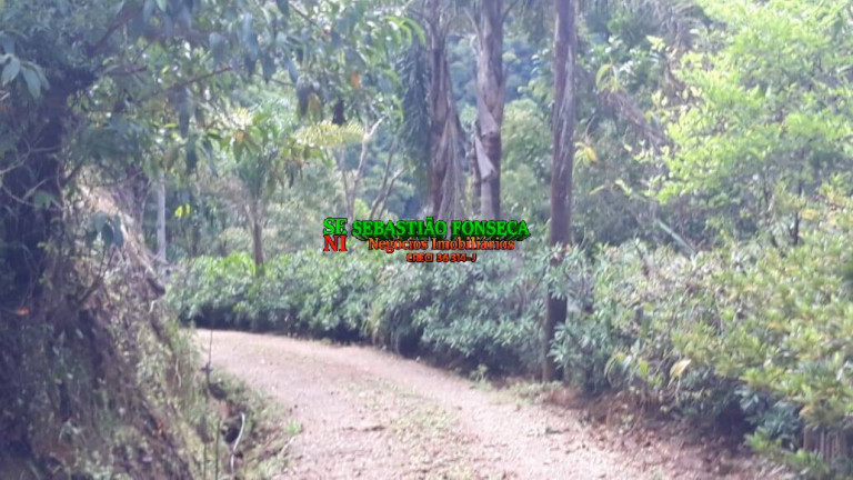 Imagem Chácara à Venda, 40.000 m² em São Francisco Xavier - São José Dos Campos Imagem Chácara à Venda, 40.000 m² em São Francisco Xavier - São José Dos Campos