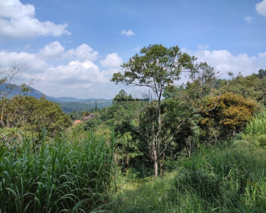 Imagem Chácara com 3 Quartos à Venda, 8.000 m² em Terra Preta (terra Preta) - Mairiporã