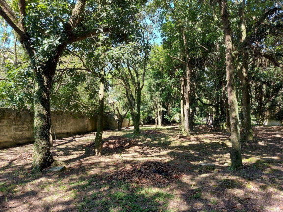 Imagem Casa com 5 Quartos à Venda, 1.100 m² em Barra Da Tijuca - Rio De Janeiro