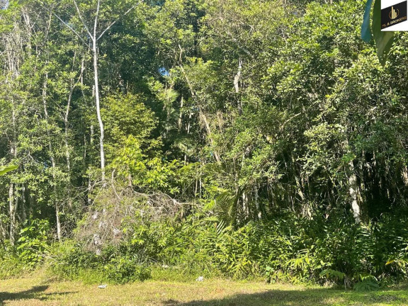 Imagem Imóvel à Venda, 20.000 m² em Zona Rural - Morretes Imagem Imóvel à Venda, 20.000 m² em Zona Rural - Morretes