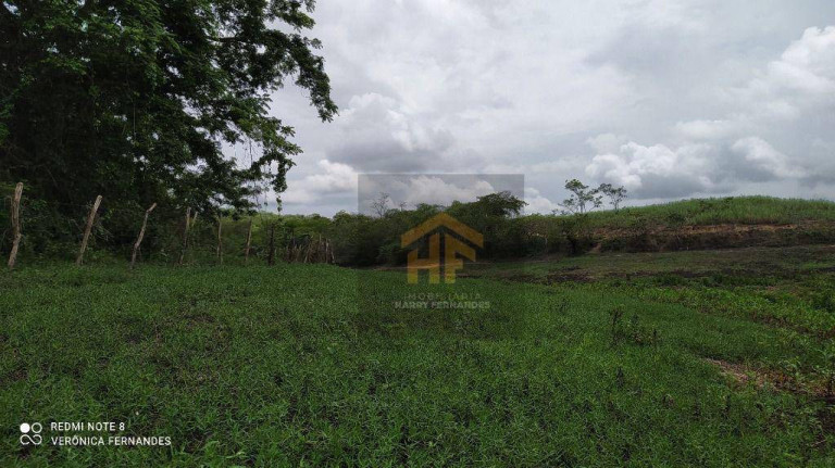 Imagem Fazenda à Venda, 160.000 m² em Rural - Paudalho Imagem Fazenda à Venda, 160.000 m² em Rural - Paudalho