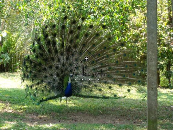 Imagem Chácara com 3 Quartos à Venda, 46.097 m² em Pau Queimado - Piracicaba