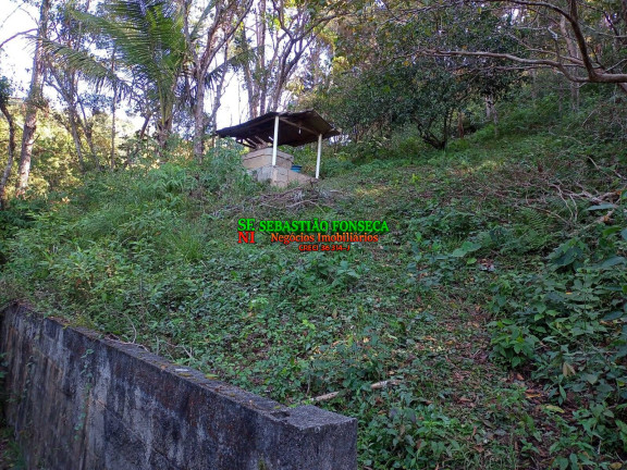 Imagem Chácara à Venda, 5.000 m² em Canaã Ll - Jambeiro Imagem Chácara à Venda, 5.000 m² em Canaã Ll - Jambeiro