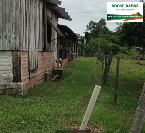 Imagem Chácara com 1 Quarto à Venda, 1.950 m² em Nova Santa Rita