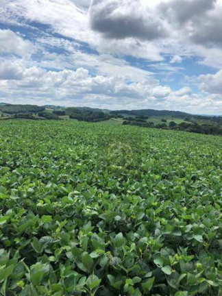 Terreno à Venda, 193.600 m² em água Amarela - Antônio Olinto