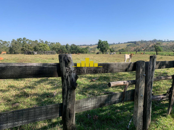 Imagem Chácara à Venda, 82.000 m² em Rural - Capela Do Alto