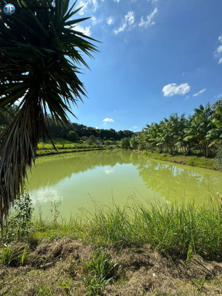 Imagem Chácara com 6 Quartos à Venda, 55.000 m² em Belo Oriente