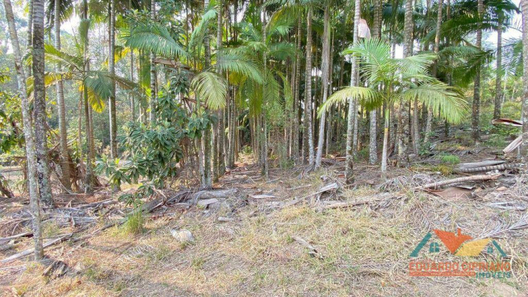 Imagem Terreno à Venda, 5.300 m² em Espírito Santo - Paraibuna Imagem Terreno à Venda, 5.300 m² em Espírito Santo - Paraibuna