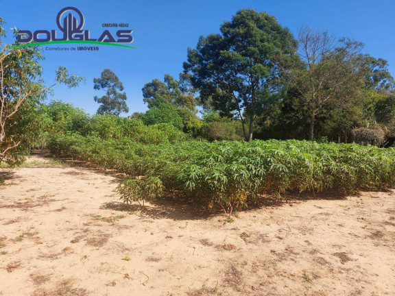 Imagem Chácara com 2 Quartos à Venda, 11.000 m² em Viamão Imagem Chácara com 2 Quartos à Venda, 11.000 m² em Viamão