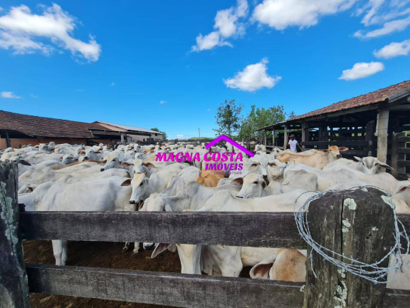 Imagem Fazenda à Venda, 2 m² em Banqueiros - Araruama Imagem Fazenda à Venda, 2 m² em Banqueiros - Araruama