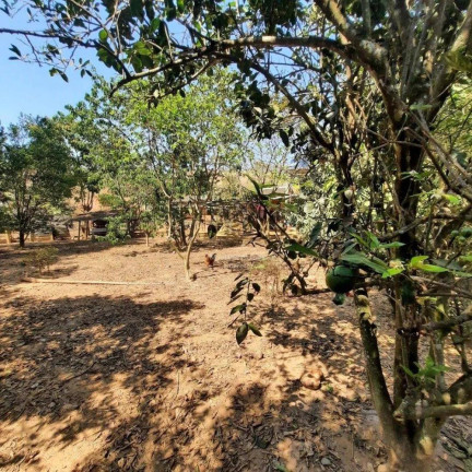Imagem Chácara à Venda, 6.000 m²