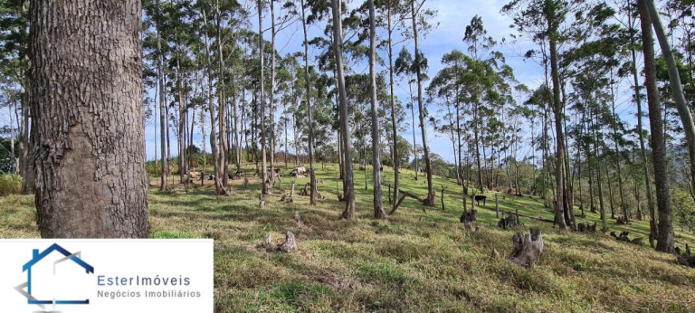 Imagem Imóvel para Alugar ou Temporada, 295.781 m² em Portal Da Serra - Santana De Parnaíba Imagem Imóvel para Alugar ou Temporada, 295.781 m² em Portal Da Serra - Santana De Parnaíba