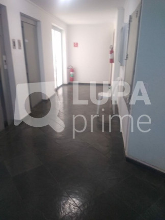 Imagem Apartamento com 2 Quartos à Venda, 55 m² em Vila Bancária - São Paulo Imagem Apartamento com 2 Quartos à Venda, 55 m² em Vila Bancária - São Paulo