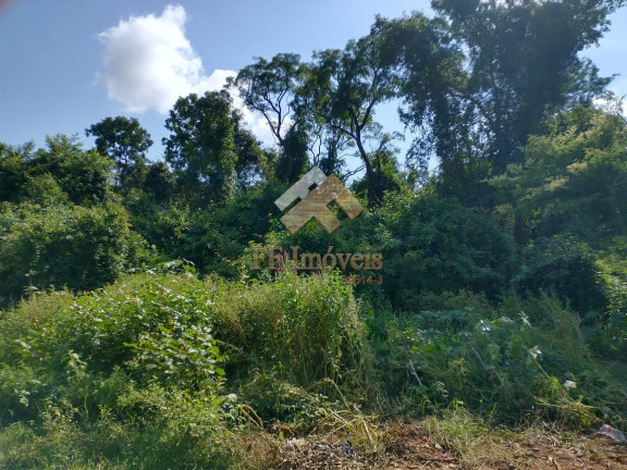 Imagem Chácara à Venda, 6 m² em Jardim Cardinalli - São Carlos Imagem Chácara à Venda, 6 m² em Jardim Cardinalli - São Carlos