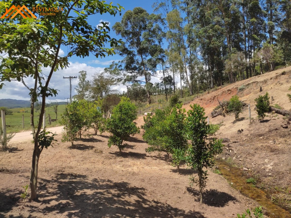 Imagem Imóvel com 3 Quartos à Venda, em Aratingauba - Forquilhinha Imagem Imóvel com 3 Quartos à Venda, em Aratingauba - Forquilhinha