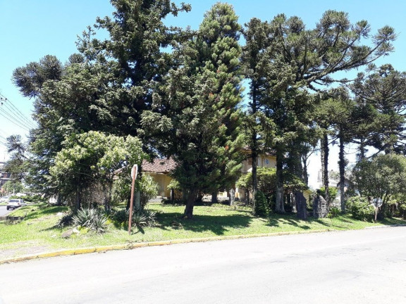Imagem Terreno à Venda, 4.800 m² em Avenida Central - Gramado Imagem Terreno à Venda, 4.800 m² em Avenida Central - Gramado