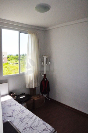 Imagem Apartamento com 2 Quartos à Venda, 43 m² em Morro Santana - Porto Alegre