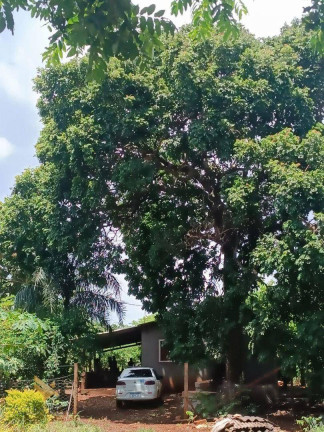 Imagem Chácara com 2 Quartos à Venda, 32.000 m² em Conjunto José Abrão - Campo Grande Imagem Chácara com 2 Quartos à Venda, 32.000 m² em Conjunto José Abrão - Campo Grande