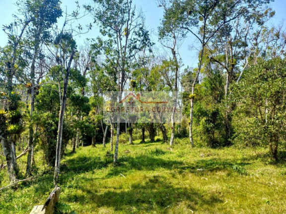 Imagem Terreno à Venda, 24.000 m² em Palmeiras - Juquitiba Imagem Terreno à Venda, 24.000 m² em Palmeiras - Juquitiba