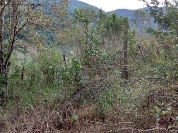 Imagem Terreno à Venda, 4 m² em São José Do Caí - Nova Petrópolis Imagem Terreno à Venda, 4 m² em São José Do Caí - Nova Petrópolis