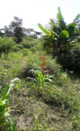 Imagem Terreno à Venda, 6.000 m² em Jardim Presidente Dutra - Guarulhos